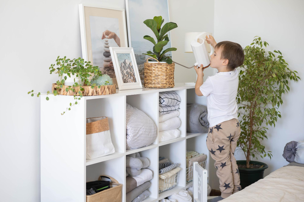 Maximizing Space: Storage Solutions for Apartments