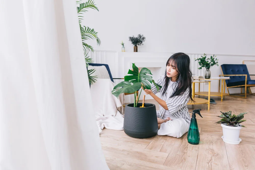 Interior Design Ideas for Your First Apartment